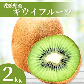 【ふるさと納税】キウイ 2kg 愛媛 国産キウイフルーツ ヘイワード 【2025年11月発送】 数量限定 伊予市｜A20