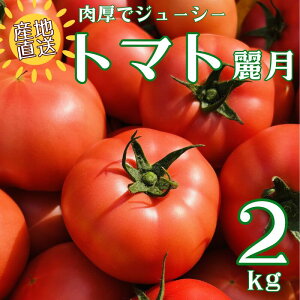 yӂ邳Ɣ[Łzg}g 2kg 팎 Yn  VN T_ ԏn ڂȂ_ Q ɗ\s | A66