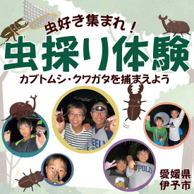 【ふるさと納税】虫採り合宿（カブトムシ・クワガタ）in伊予市～向井虫店プレゼンツ～ 虫採り体験 体験型 虫 虫好き カブトムシ ヒラタクワガタ ノコギリクワガタ コクワガタ 愛媛県 伊予市 | C40