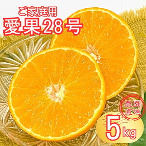 yӂ邳Ɣ[Łz28 5kg g܂ǂȓi ol ƒp TCY~bNX _ s\ 12 Q ʌ QY lC k ɗ\sbB274