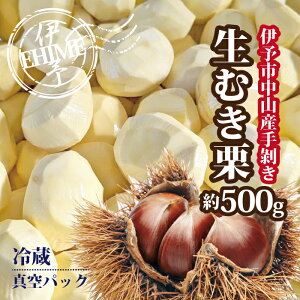 yӂ邳Ɣ[ŁzI ނI 500g RY ʌ I ZȊÂ zNzN ĂI I͂ ɗ\s Q | B468