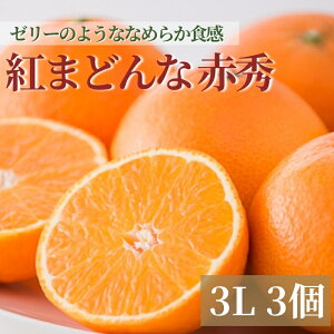 yӂ邳Ɣ[Łzy2025N11{珇z݂ Q QY g܂ǂ ԏG 3 lC ʌ k ɗ\sbB123