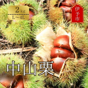 yӂ邳Ɣ[ŁzRI 2.0kg L`4LTCY {OI Y IƂ I ØI } ĂI 䥂ŌI a I u H̖o Yi Q ɗ\s ɗ\suhF