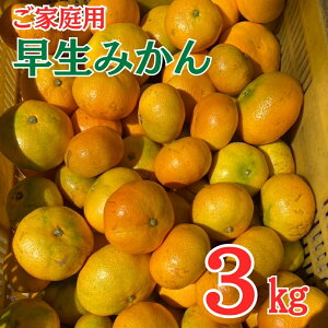 yӂ邳Ɣ[Łz݂ 3kg ƒp _ s\ y11ȍ~\z Q ʌ QY lC k ɗ\sb A99