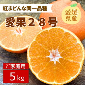 yӂ邳Ɣ[Łz݂ Q 28 5kg ƒp 2L`4L  g܂ǂȂƓi lC ʌ s\ k ɗ\s y2025N11{珇\zbB83