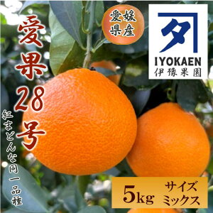 yӂ邳Ɣ[Łz28 TCY~bNX 5kg ƒp y11{珇\z ݂ g܂ǂȂƓi Q lC k ɘʉ ɗ\sbC107