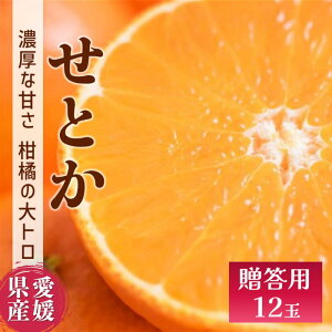 【ふるさと納税】せとか みかん 愛媛 12玉 贈答用 人気 数量限定 先行予約 【2026年2月上旬以降発送】 柑橘 愛媛県産 伊予市|C130