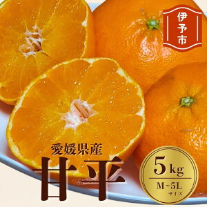 yӂ邳Ɣ[Łz݂ Q Õi5kgjTCYM`5L lC ʌ s\ k ɗ\s y2026N1{珇\zbB104