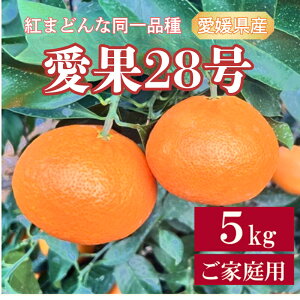 yӂ邳Ɣ[Łz28 5kg ƒp g܂ǂȂƓi _ s\ y12{珇\z Q ʌ QY lC k ɗ\s | B256