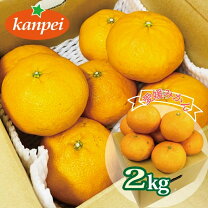 楽天市場】甘平 2lの通販