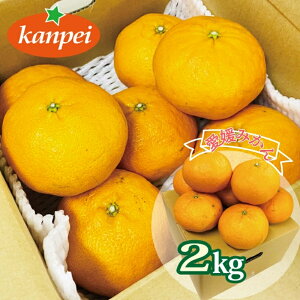 【ふるさと納税】訳あり 甘平 家庭用 みかん 愛媛 約2kg 人気 サイズミックス 柑橘 伊予市|B234