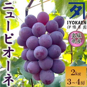 【ふるさと納税】ニューピオーネ 約2kg 【2026年先行予約・2026年8月上旬から順次発送予定】 ぶどう 葡萄 種無し 果物 愛媛 人気 伊豫果園 伊予市|B390