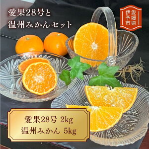 【ふるさと納税】愛果28号 紅まどんなと同一品種 温州みかん みかん 愛媛県産 【選べる内容】 2kg 5kg みかんセット <12月上旬から順次発送予定> 先行予約 数量限定 人気 柑橘 伊予市