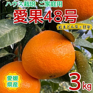 yӂ邳Ɣ[Łzy2026N3\z󂠂 48 3kgƒp _ ݂ Q lC ʌ s\ k ɗ\sbB444