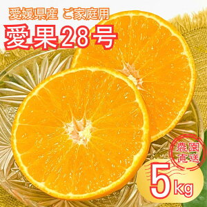 yӂ邳Ɣ[Łz28 5kg g܂ǂȓi ol ƒp TCY~bNX _ s\ 12 Q ʌ QY lC k ɗ\sbB274