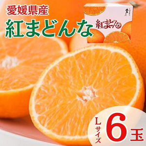 yӂ邳Ɣ[Łzg܂ǂ Q LTCY 6 ݂ lC ʌ k ɗ\sy2025N11{zbB450