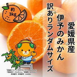 yӂ邳Ɣ[Łz󂠂 ɗ\݂̂ 3kg TCY~bNX _ y2025N11{珇\z ݂ QY ʌ s\ k ɗ\sbB505