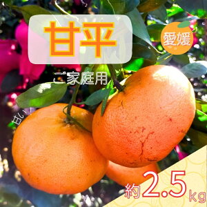 yӂ邳Ɣ[Łz݂ Õ 2.5kg ol ʌy2{珇\z Q lC k Y t[c ɗ\sbB519