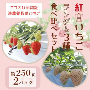 �y�ӂ邳�Ɣ[�Łz������ �g�������� �����_�� 3��H�ה�׃Z�b�g �_������ �i�Ԃ�����2�i��{���������j ���ڂȂ��_�� ���ʌ��� ���Q �l�C �ɗ\�s�bB20