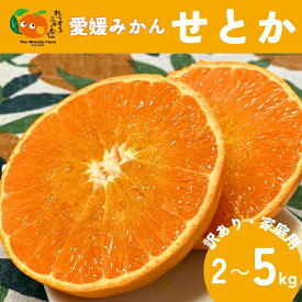 【ふるさと納税】【2027年先行予約】みかん 愛媛県 せとか 訳あり ご家庭用 【選べる容量】 2kg 5kg 施設 露地 数量限定 先行予約 【2027年1月下旬より順次発送】 レッスルファーム おすすめ 美味しい おいしい グルメ フルーツ くだもの 国産 愛媛県産 人気 柑橘 伊予市
