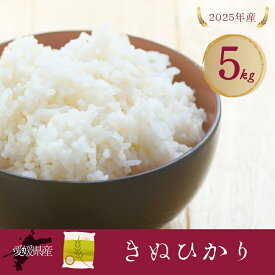 【ふるさと納税】お米 5kg きぬひかり こしひかり ひめの凜 にじのきらめき【選べる品種】令和7年産 愛媛県 米 愛媛県産 精米 米 こめ コメ 白米 ごはん ライス 愛媛 伊予市