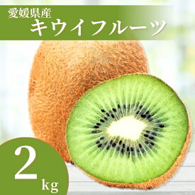 【ふるさと納税】【2026年先行予約】 キウイ 2kg 愛媛 国産キウイフルーツ ヘイワード 【2026年11月から順次発送予定】 数量限定 伊予市｜A20