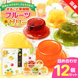 【ふるさと納税】ゼリー ギフト 詰め合わせ 12個 お中元 愛媛県 みかん キウイ 伊予柑 青森産 りんご 山形産 さくらんぼ フルーツゼリー 果物 果汁 果実 フルーツ おやつ デザート 夏ギフト お取り寄せ なめらか 口溶け 子供 大人 国産 食品 送料無料 | B156