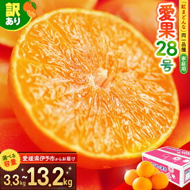【ふるさと納税】訳あり 愛果28号 愛媛みかん 家庭用 【選べる容量3.3kg~13.2kg】 みかん 柑橘 果物 愛媛 フルーツ 愛媛のみかん えひめみかん 紅まどんなと同品種 蜜柑 マドンナ まどんな 愛媛果試28号【2026年11月下旬から順次発送】