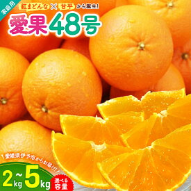 【ふるさと納税】【2026年3月発送予定】みかん 愛媛 愛果48号【選べる容量】2kg 5kg 紅プリンセス同一品種 農園直送 おすすめ 美味しい おいしい 国産 愛媛県産 人気 フルーツ 柑橘 数量限定 先行予約 柑橘 伊予市