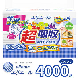 【ふるさと納税】 エリエール 超吸収 キッチンタオル キッチンペーパー ペーパータオル キッチン タオル ペーパー シートタイプ 100組 2枚重ね 20パック 日用品 消耗品 防災 備蓄品 ふるさと納税 送料無料 【四国中央市 日本一 紙のまち】