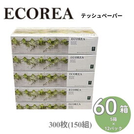 【ふるさと納税】ティッシュ 60箱 ECOREA ティッシュペーパー 300枚 150組