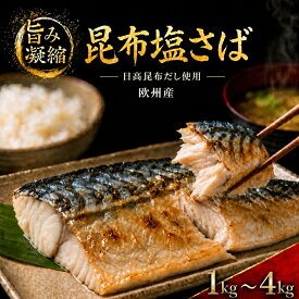 【ふるさと納税】 鯖 昆布 塩さば 1kg ～ 4kg | 鯖 サバ 肉厚 訳あり 有塩 選べる 容量1kg 2kg 3kg 4kg 鯖 さば サバ 有塩 切身 切り身 冷凍 食品 小分け 大容量 人気 魚 魚介 魚貝 海鮮 不揃い 冷凍 送料無料 予州興業 ふるさと納税 愛媛県 四国中央市