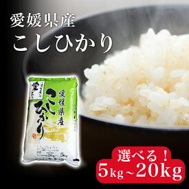 【ふるさと納税】【選べる】 米 こめ お米 おこめ コシヒカリ こしひかり 5kg 10kg 20kg 白米 ごはん 四国中央市 愛媛県 おいしい ふっくら 【四国中央市 紙のまち 日本一】