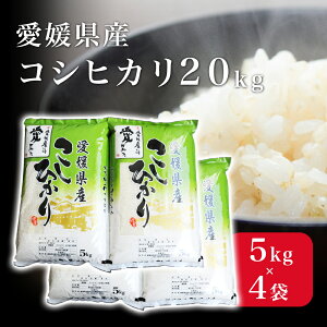 yӂ邳Ɣ[ŁzyIׂz     RVqJ Ђ 5kg 10kg 20kg  ͂ ls Q  ӂ yls ̂܂ {z
