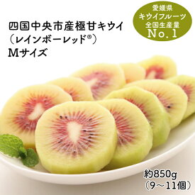 【ふるさと納税】 【25年8月受付開始】 ＜10月下旬以降発送＞ 最高糖度 20度超の極甘！レインボーレッドキウイ（四国中央市産レインボーレッド） M サイズ 約850g（9個〜11個）