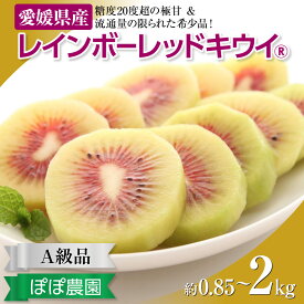 【ふるさと納税】 ＜10月下旬以降発送＞【ぽぽ農園】 キウイ キウイフルーツ レインボーレッド 最高糖度 20度超の極甘！レインボーレッドキウイ（四国中央市産レインボーレッド）選べる 容量 サイズ