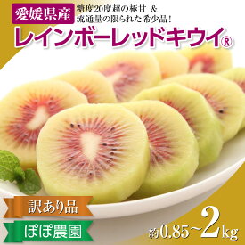 【ふるさと納税】＜10月下旬以降発送＞【ぽぽ農園】【訳あり・ご自宅用】レインボーレッドキウイ（四国中央市産レインボーレッド） 選べる 容量 サイズ