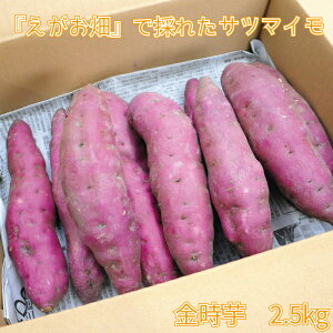 yӂ邳Ɣ[Łz Tc}C ܂    C 2.5kg  AJx x zNzN VՂ w XC[g|eg ӂ邳Ɣ[  yls { ̂܂
