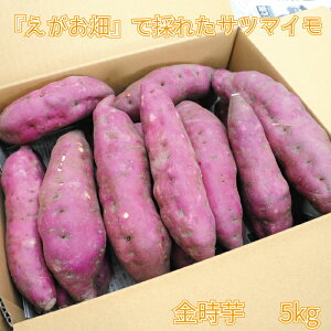 yӂ邳Ɣ[Łz Tc}C ܂    C 5kg  AJx x zNzN VՂ w XC[g|eg ӂ邳Ɣ[  yls { ̂܂z