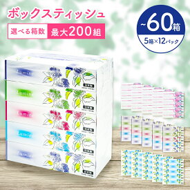 【ふるさと納税】＼数量限定レビューキャンペーン中／ ティッシュペーパー ティッシュ ティシュー ボックス 60箱 5個×12パック ルミネ やわらか 高品質 ティッシュペーパー ティシューペーパー デザインボックス 日用品 備蓄 防災 送料無料 愛媛県 四国中央