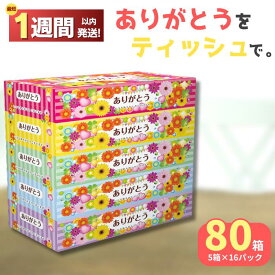 【ふるさと納税】【最短1週間以内発送】ティッシュ ティシュー BOXティッシュ ありがとうティッシュ 80箱 5個 16パック ボックスティッシュ ティッシュ ティシュー 日用品 消耗品 備蓄 防災 ありがとう パルプ100％ ふるさと納税 送料無料 愛媛県 四国中央市