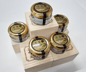 yӂ邳Ɣ[Łz LrA 20g CAVIAR caviar 5 Zbg `EU xXe  ˔  Ⓚ  Mtg ӂ邳Ɣ[  yls ̂܂ {z