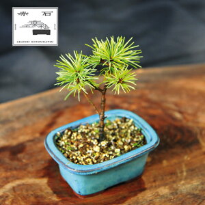 yӂ邳Ɣ[Łz Ԑ΂̐ ԐΌܗtiAj F-149yizyznz