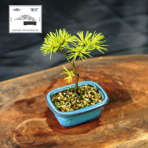 yӂ邳Ɣ[Łz Ԑ΂̐ ԐΌܗtiAj F-150yizyznz