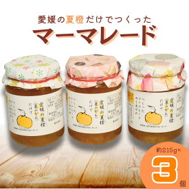 【ふるさと納税】マーマレード みかん ミカン 夏みかん 3個 セット 夏橙 瓶 加工品 送料無料 愛媛県 四国中央市