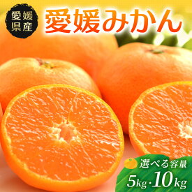 【ふるさと納税】みかん 愛媛 温州みかん ミカン 秀品 甘い 5kg 10kg 愛媛県 四国中央市産 品種厳選 送料無料 果物 フルーツ