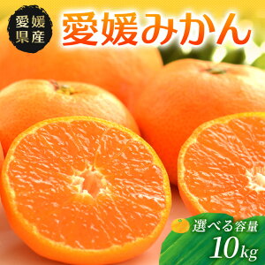 yӂ邳Ɣ[Łz݂ Q B݂ ~J Gi Â 5kg 10kg Q lsY i팵I  ʕ t[c