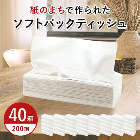 【ふるさと納税】イットコ ティッシュペーパー ソフトパック ティッシュ ソフト 400枚 200組 40パック 日用品 消耗品 まとめ買い 箱なし ダブル ティシュー ティシューペーパー エコ シンプル ソフトティッシュパック 防災 送料無料 愛媛県 四国中央市