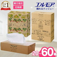 【ふるさと納税】 ティッシュ エルモア 着日指定 ボックス ティッシュ テ...