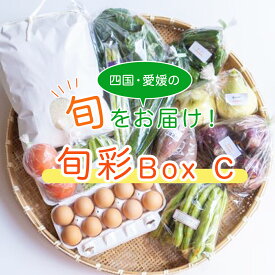 【ふるさと納税】旬菜 Box C